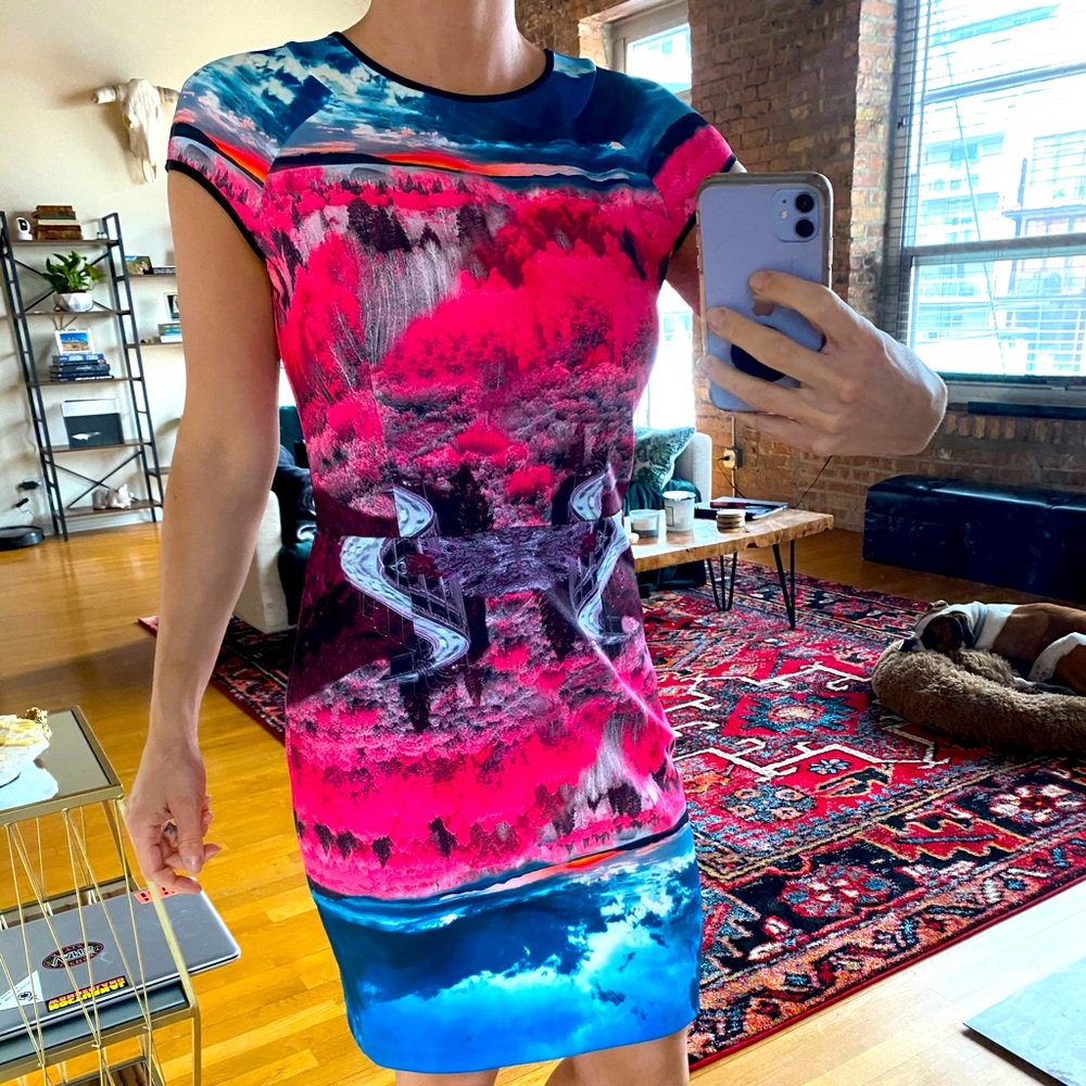 Ted Baker Dress Size 3